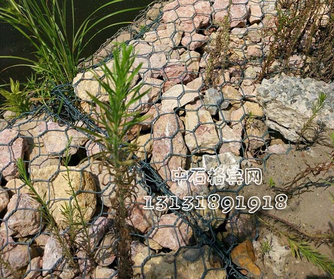 河道護(hù)岸固濱籠價格咨詢13131891918